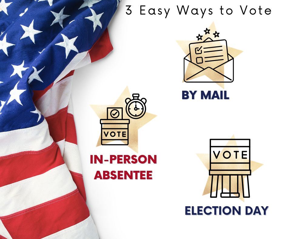 3 Ways to Vote